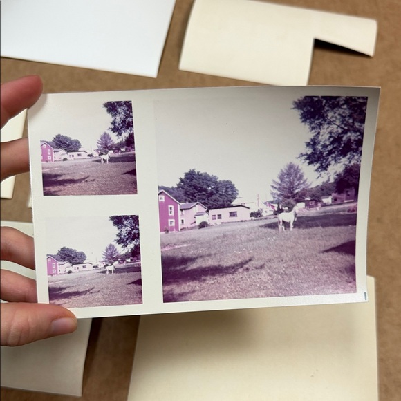 Vintage Photo Collection - Picture 10 of 11